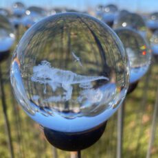 5061098722187 1 3D Crystal Ball Decorative Garden Stake Ornament Dinosaur.jpg